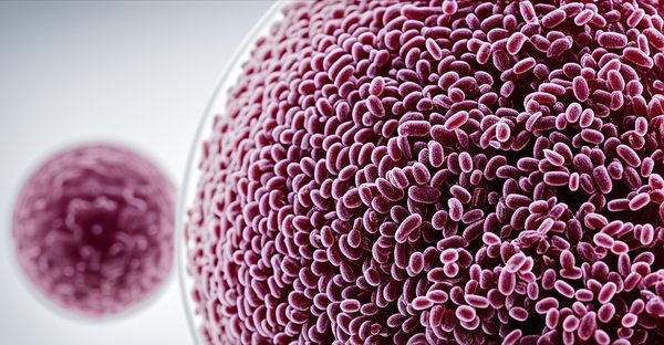 Infection urinaire e. coli : causes, symptômes et traitements efficaces